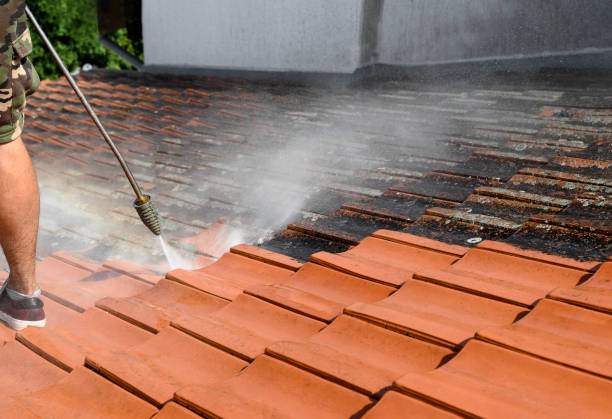 Best Pressure Washing Brick  in Cedar Heights, MD